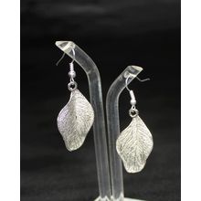 Leaf Earrings - Silver