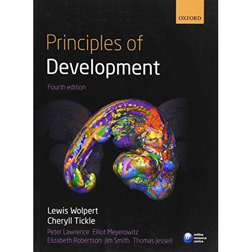 Principles Of Development