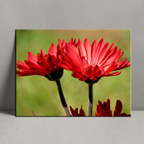 Modern Tableau - Abstract 40 X 30 Cm -ورد- لوحة فنية - ديكور البيت