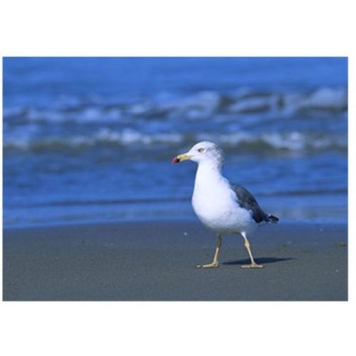 Landscape Tableau 23cmx 18cm