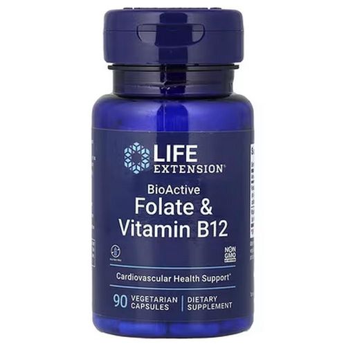 Bioactive Folate & Vitamin B12, 90 Vegetarian Capsules