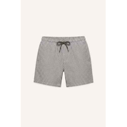 Striped Short Swim Shorts