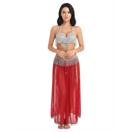 silver * red - Golden Belly Dance Costume with Dark Brown Skirt & Sheer Shawl - Code 668 - Perfect for Performances & Special Occasions