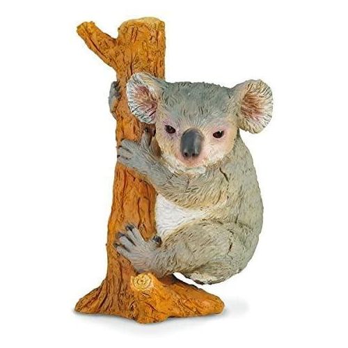 Koala Bear