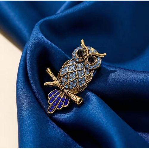 brooch and clothes pin