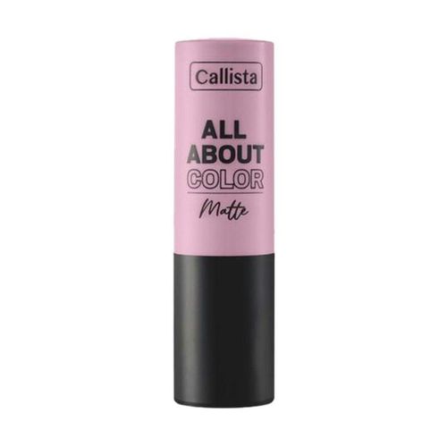 ALL ABOUT COLOR MATTE LIPSTICK 501
