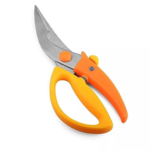 Chicken, Fish And Meat Scissors - Multipurpose