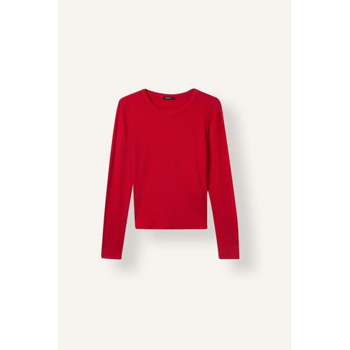 Slim Fit Crew Neck Basic Camisole Long Sleeve T-Shirt