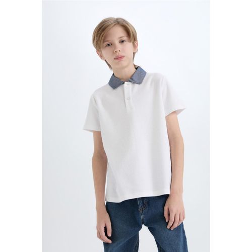 100 Cotton Polo Neck Basic Solid Short Sleeved Tişört Mens Kids