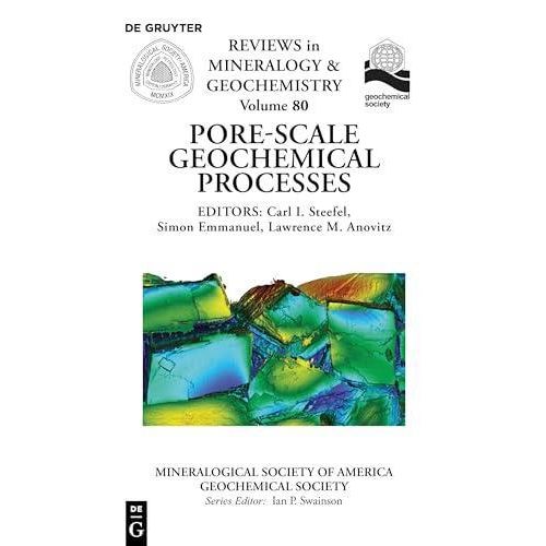 Pore Scale Geochemical Processes (Reviews in Mineralogy and Geochemistry)