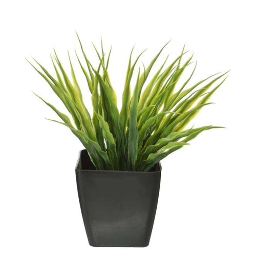 Plastic Plant Pot Black Green High Quality