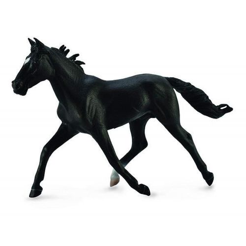 Standardbred Pacer Stallion