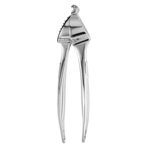 Garlic Press