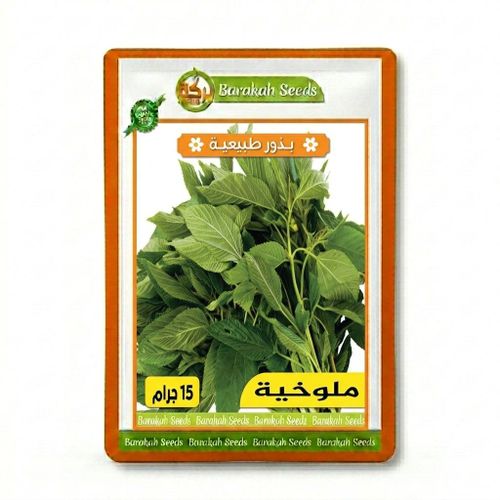 Molokhia Seeds - Fresh Nutritious Leafy Greens for Home Gardening & Gardens - Fast Growth, Repeated Harvest and Authentic Home-Grown Flavor