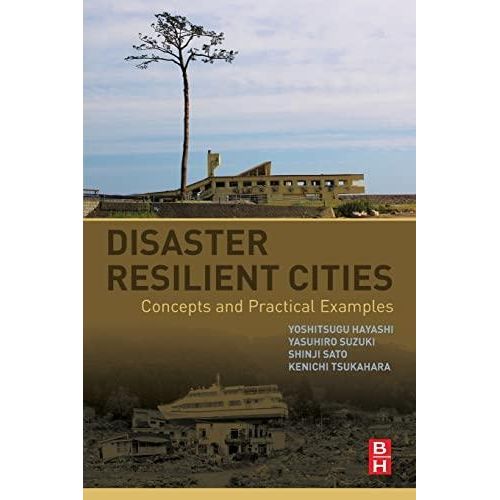 Disaster Resilient Cities: Concepts and Practical Examples