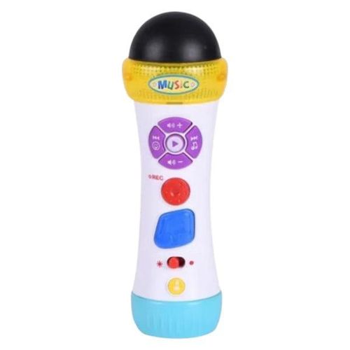Musical Recording Microphone