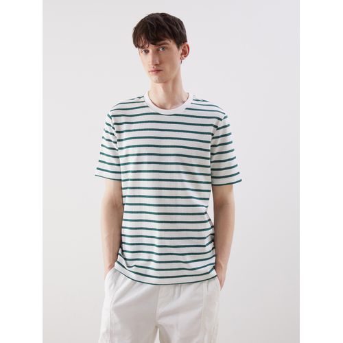 Crew Neck Striped Men's T-Shirt