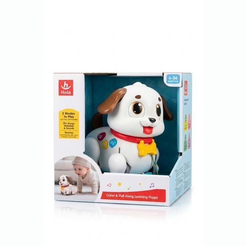 Crawl Pull Along Learning Puppy