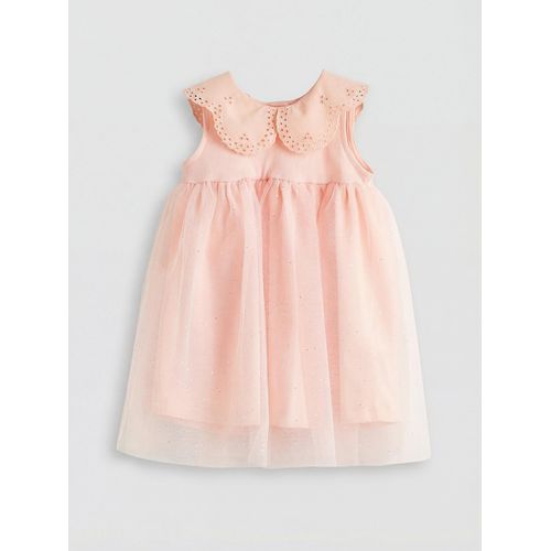 Peter Pan Collar Embroidered Baby Girl's Tulle Dress