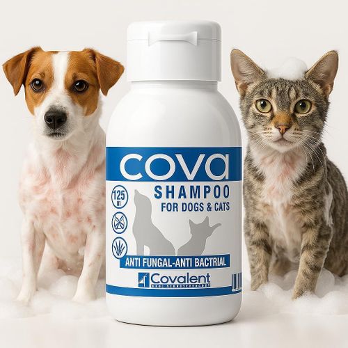 cova Veterinary Fungus & Skin Bacteria Treatment Shampoo for Cats & Dogs – Ultra Moisturizing & Protecting Coat (125ml)