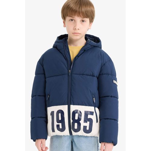 Boy Hooded with Zipper Water Repellent Puffer Jacket