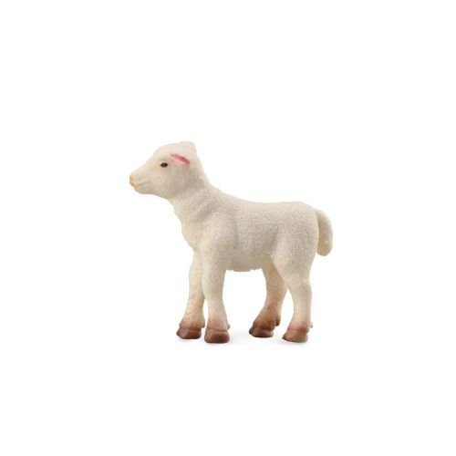 Lamb - 88009