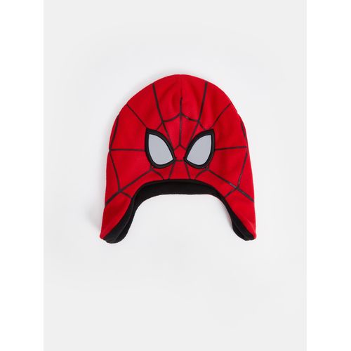 Spider-Man Printed Boy's Snow Hat
