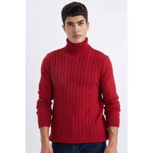 Standard Fit Turtleneck Knitwear Pullover - Red