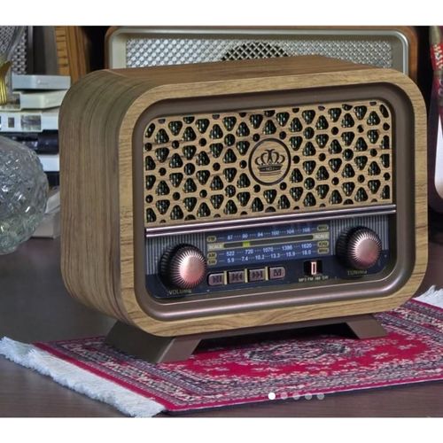 Classic charging Bluetooth radio am fm works with electricity or battery, supports flash drives, memory cards and aux mode