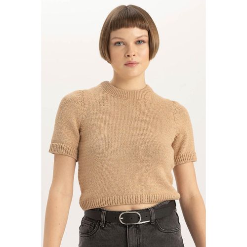 Woman Fitted Crew Neck Short Sleeve Knitted Pullover