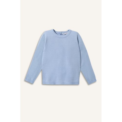 Baby Boy Regular Fit Crew Neck Pullover