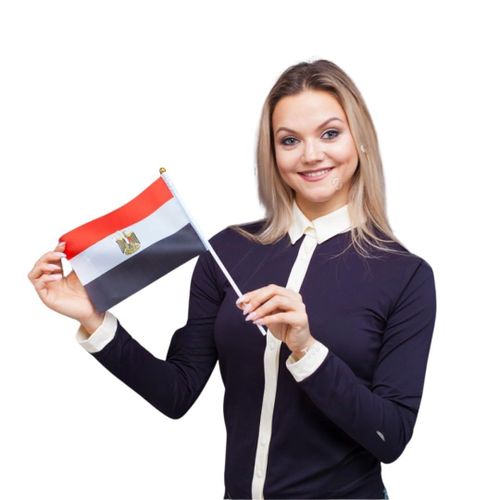 12 pieces of Egyptian handheld flags for festivals, the World Cup and National Day events, double-sided desk flags for parties, celebrations and decoration, small size (20cm * 14cm)