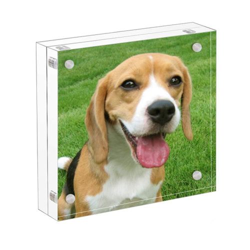 10-2x10-2 cm Acrylic Magnetic Picture Frame Set a UV Protection Double Sided Frameless Photo Display for your pictures- Modern - 1 Piece - Transparent