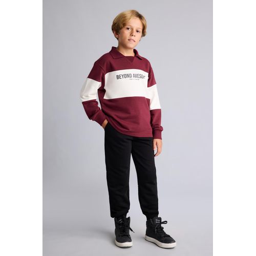 2 piece Regular Fit Shirt Collar Set