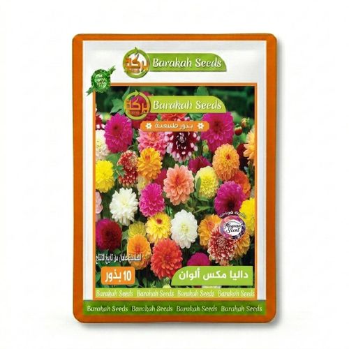 Mixed Color Dahlia Seeds for Pots Balcony Home Garden Bright Ornamental Flowering Plant