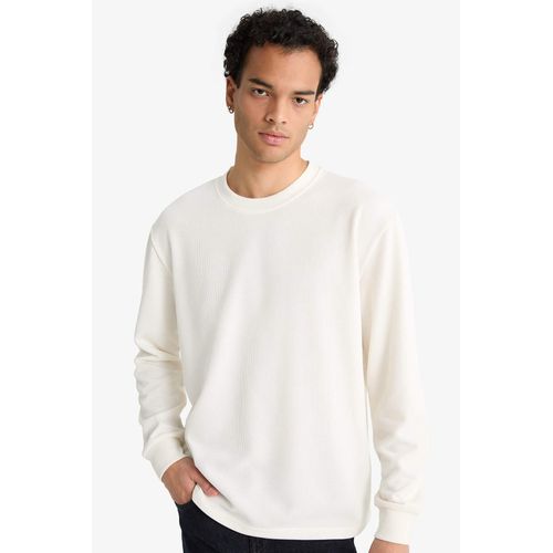 Regular Fit Crew Neck Long Sleeve Body