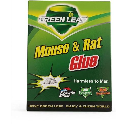 Adhesive trap for mice, rodents, and geckos.