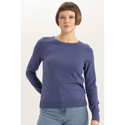 Regular Fit Crew Neck Basic Plain Extra Soft Cashmere Texture Knit Sweater