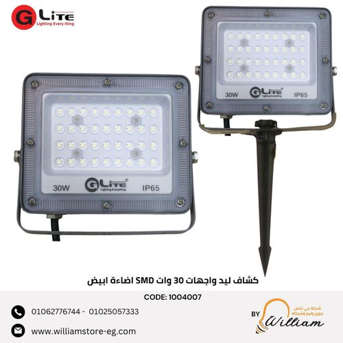 30W LED Floodlight, White Light, SMD