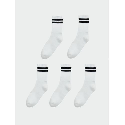 Striped Boy's Ankle Socks 5 Pack