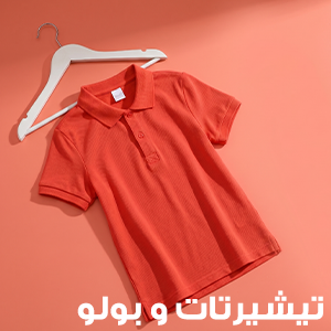 بولو