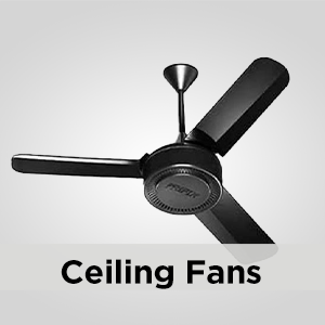Ceilling Fans