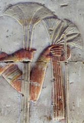 colored Sesen Flowers engraving on a temple wall