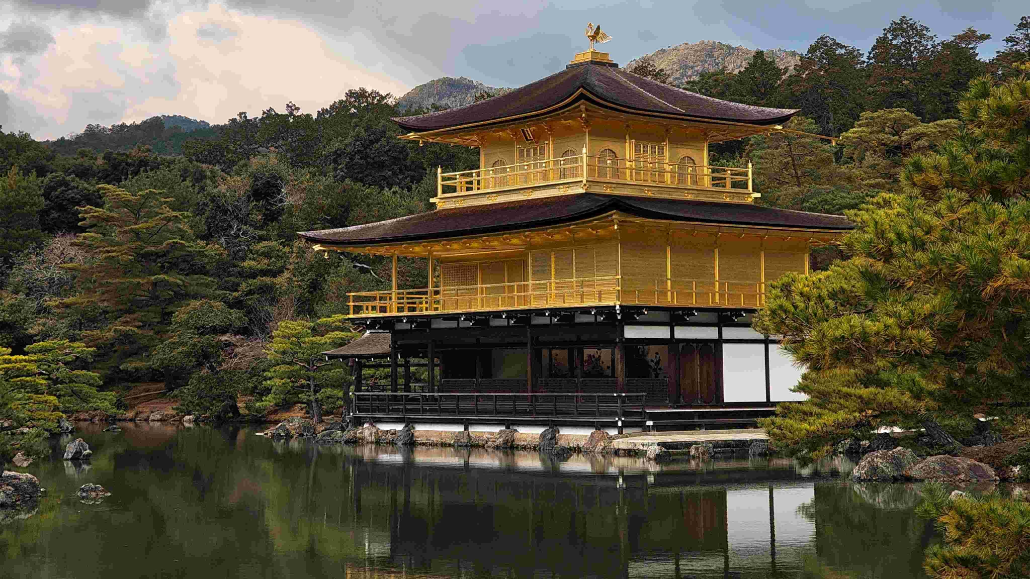 الكاميرا أثناء العمل