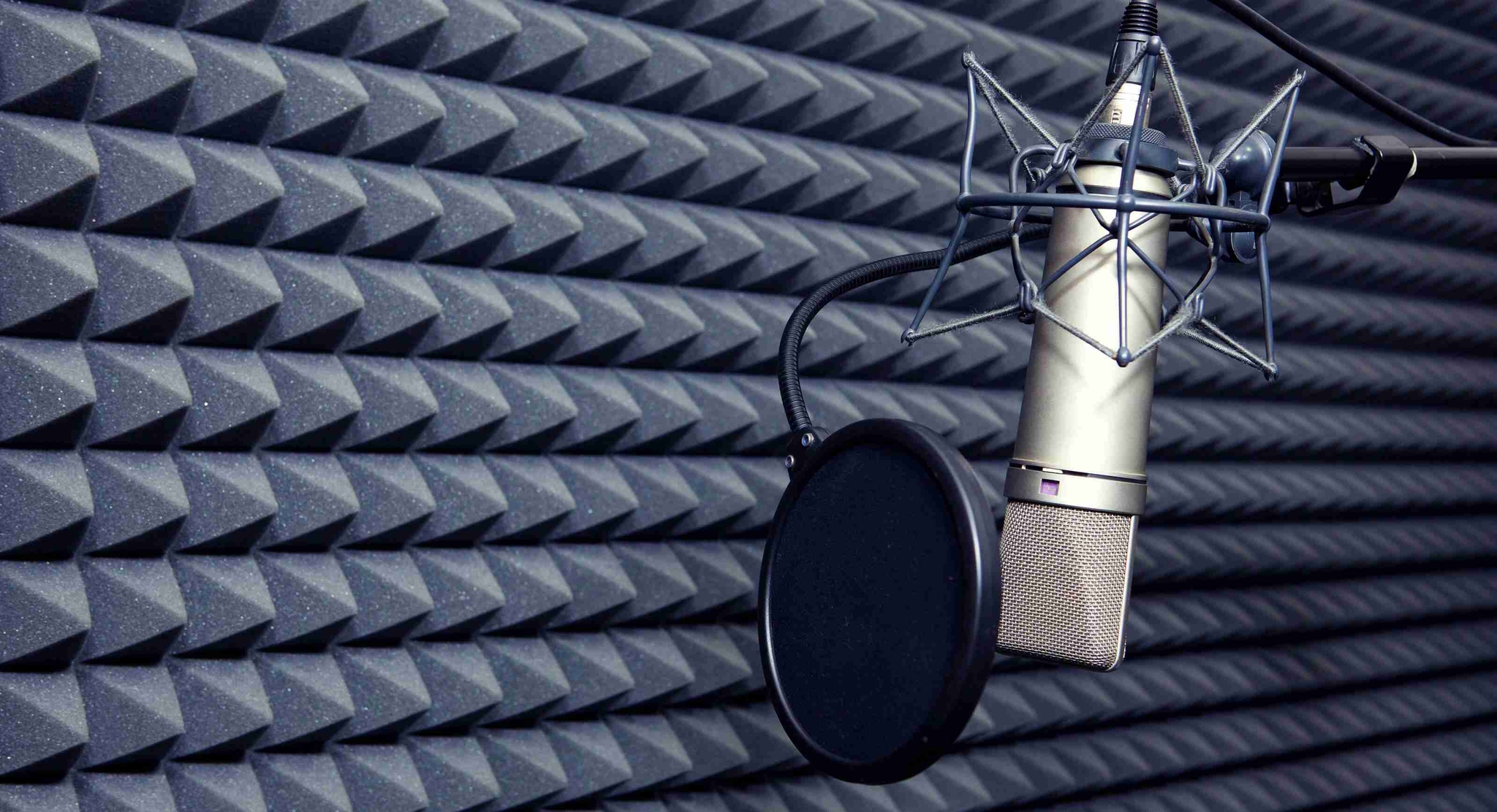 Pop Filters - What Is A Pop Filter And Do You Need One? - Voices.com