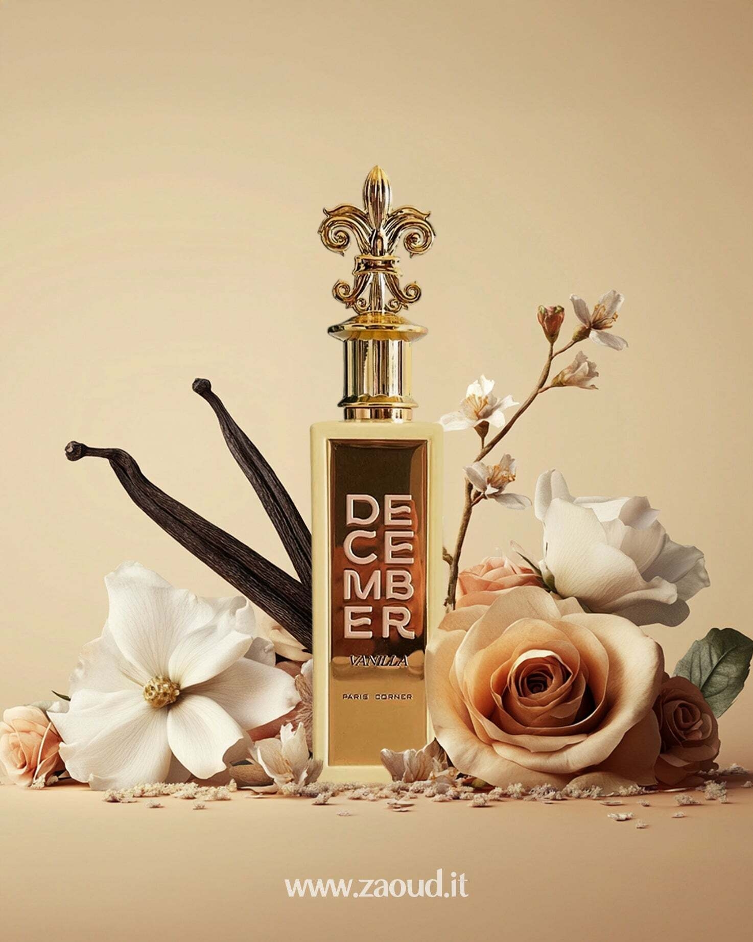 paris corner december vanilla perfume bottle photograph over creamy background beside white flowers and vanilla pods