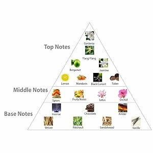 BLACK ORCHID/TOM FORD EDP SPRAY