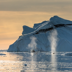 SanDisk Extreme PRO 256GB 200/140MB/s SD - DokanTech #