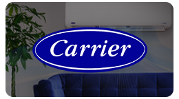 Carrier