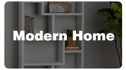 Modern Home